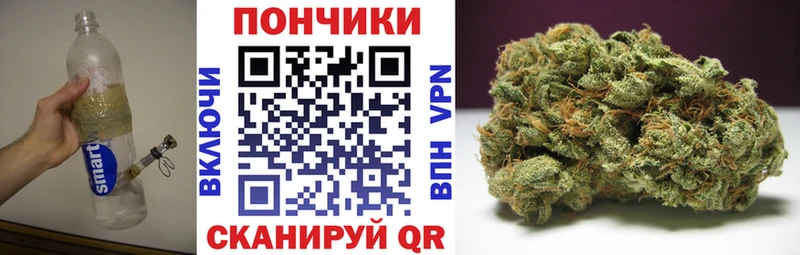 Бошки марихуана семена  Бологое 